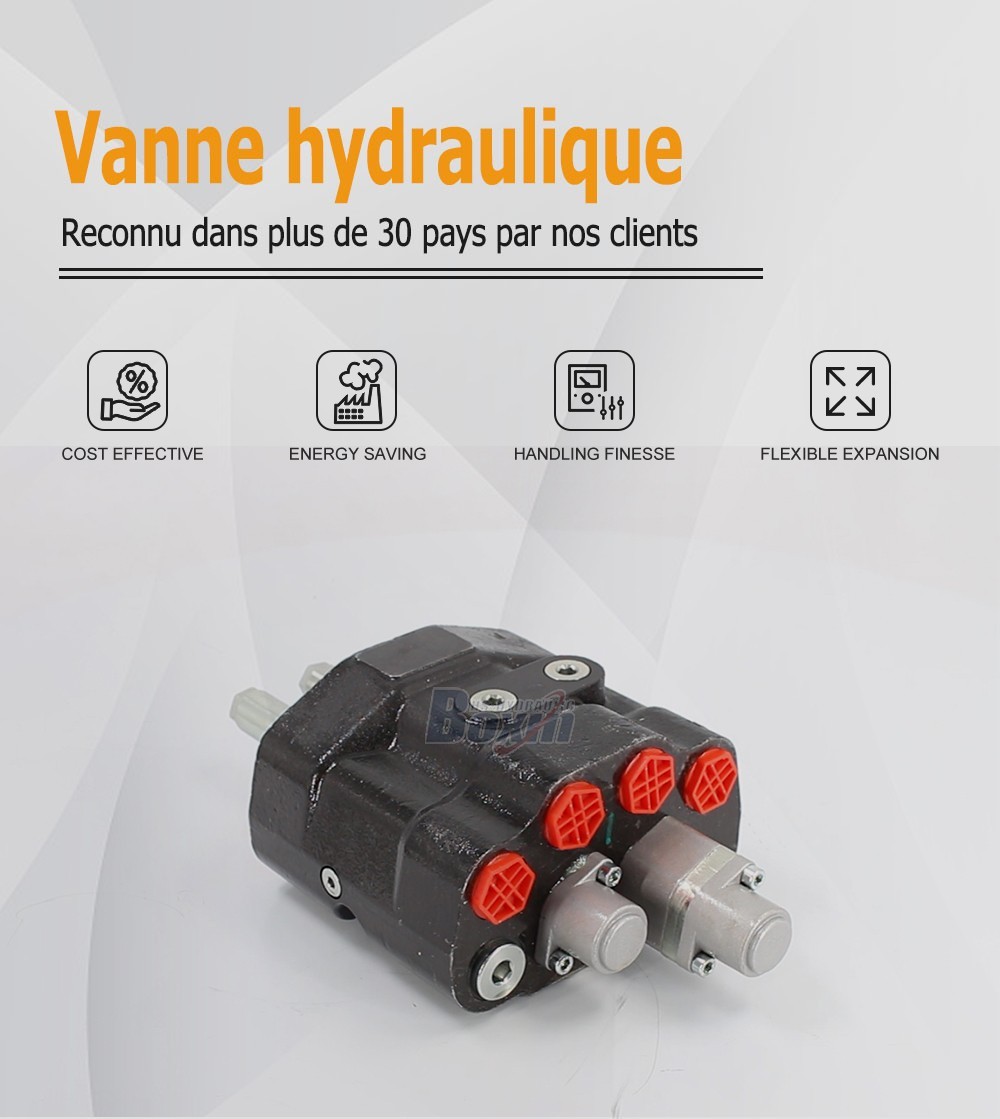 80A Series Monoblock Valve with 2 Spools for Heavy Machinery